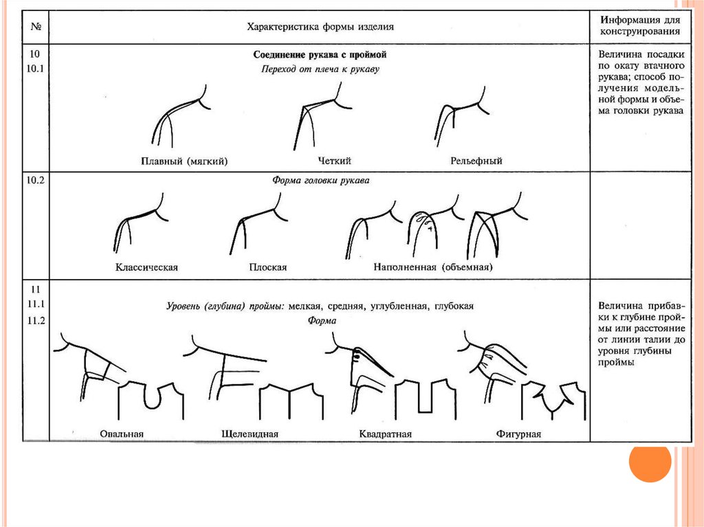 Характеристика линий. Форма линии плеч. Линий плеча овальной формы.