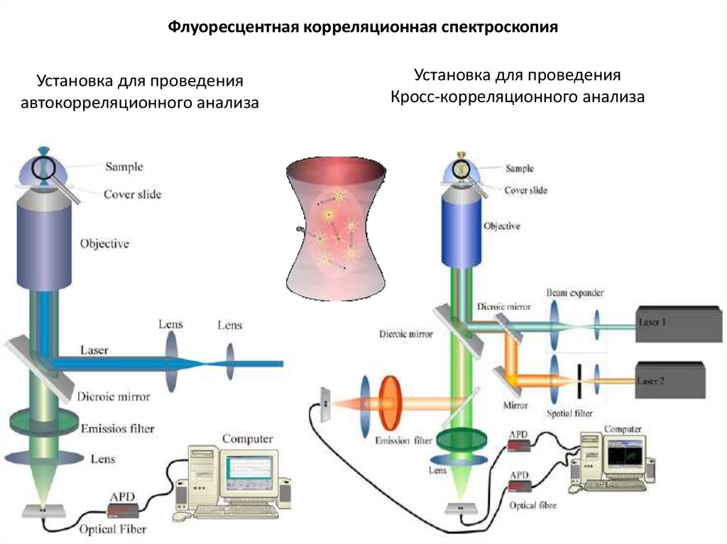 Диэлектрическая спектроскопия