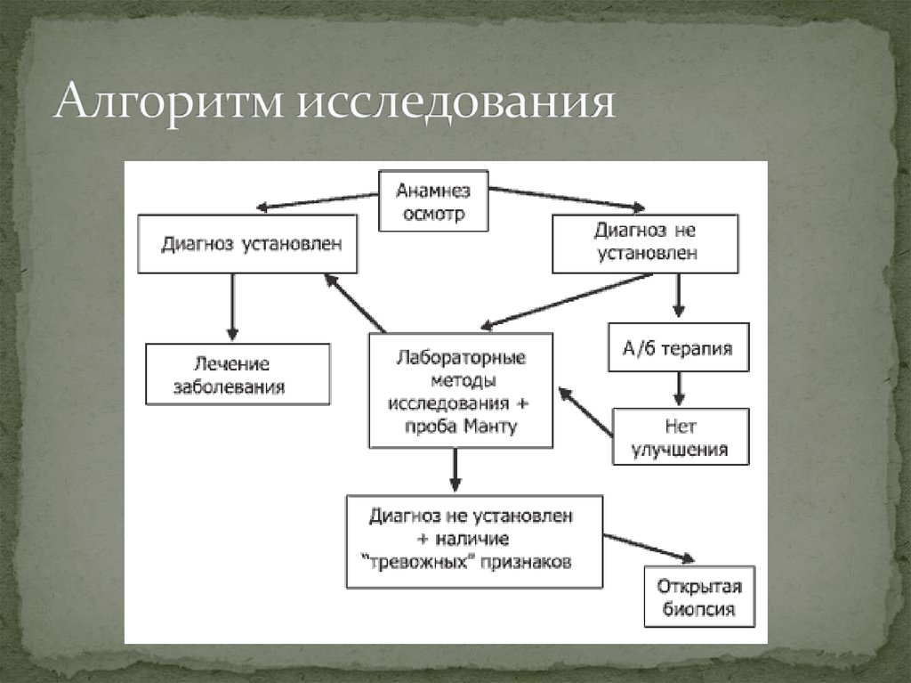 Алгоритм исследования. Алгоритм исследовательской работы. Изучение алгоритмов. Алгоритм обследования языка.