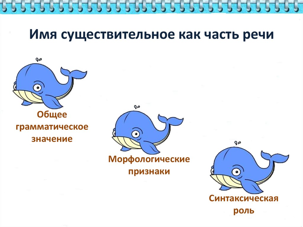 Имя существительное значение. Три кита имени существительного. Три кита частей речи. Общее грамматическое значение имени существительного. Общим грамматическим значением имен существительных.