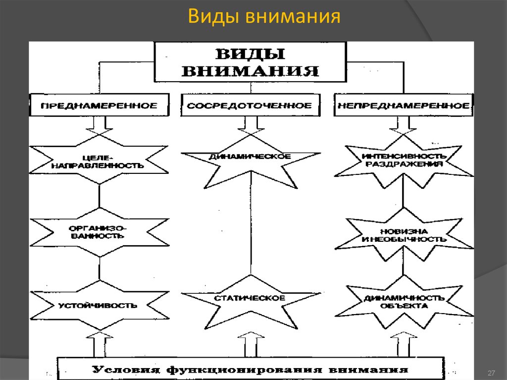 Виды психического процесса внимания. Виды внимания схема. Внимание психический процесс. Внимание это психический познавательный процесс. Внимание виды процесса.