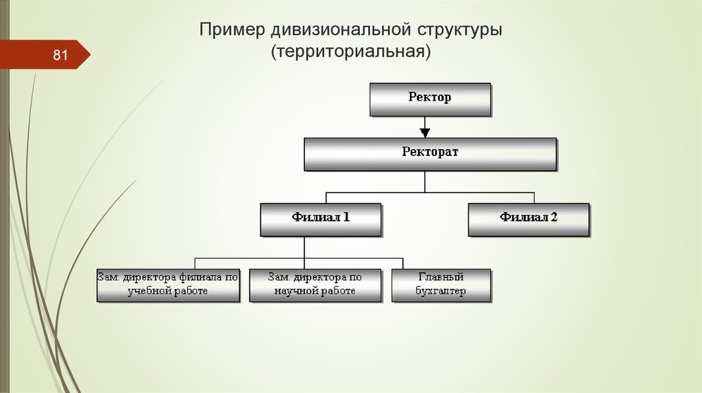 Примеры территориальных элементов. Территориальная структура предприятия. Дивизиональная организационная структура управления. Территориальные структуры и примеры.