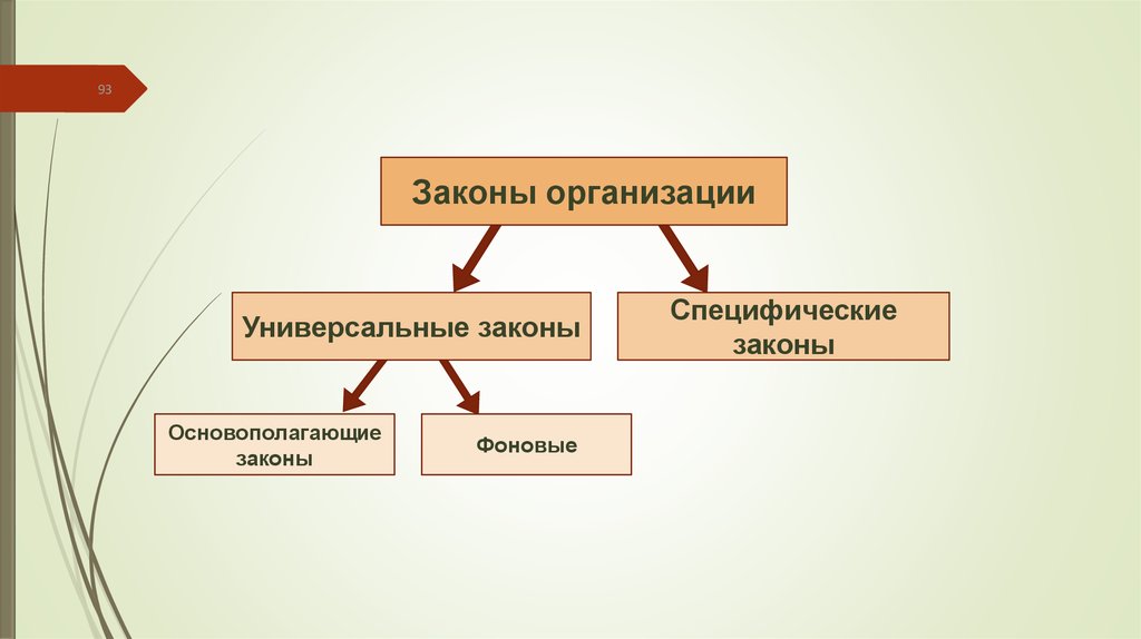 Организация тем. Универсальные законы. Универсальность закона это.