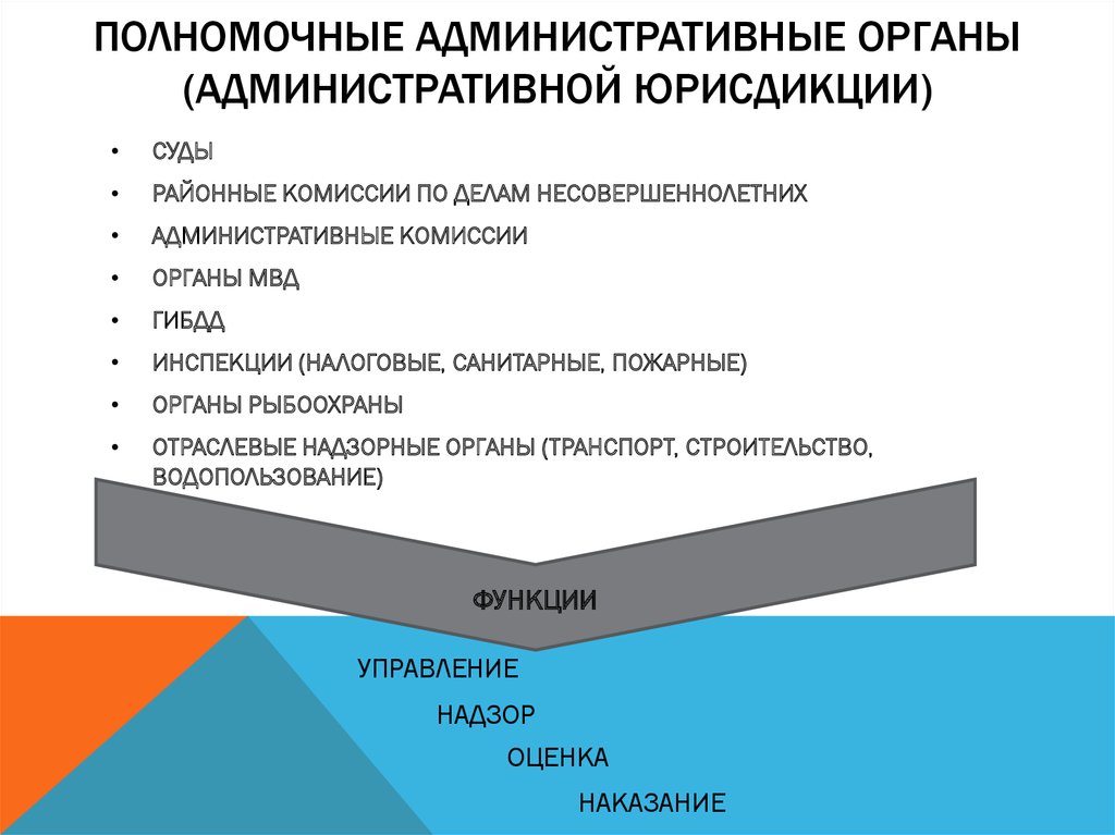 План административное право