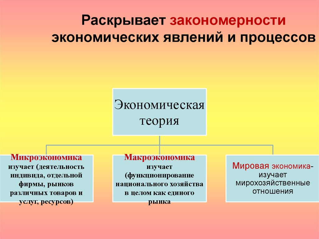 Явления общество. Экономические явления. Экономические явления виды. Экономические явления и процессы. Социально экономические явления.