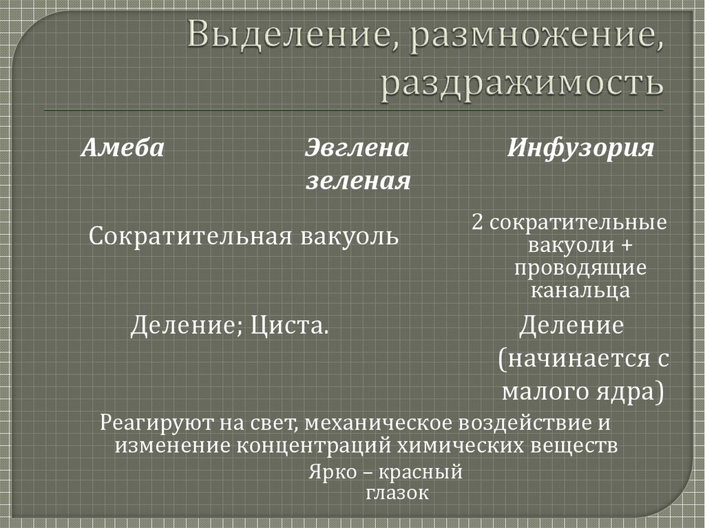 Пользуясь материалом параграфа составьте план ответа по теме общая характеристика простейших