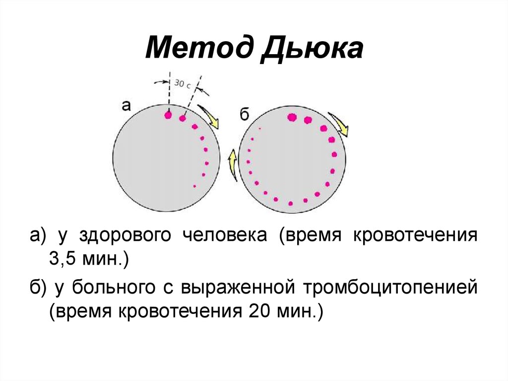 Кровь на длительность кровотечения