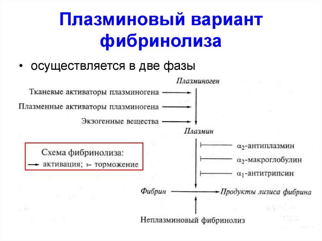 Схема фибринолиза физиология