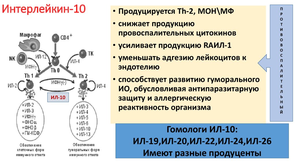 Фактор роста гормон. Интерлейкин 1 и 2. Клетки мишени интерлейкина 10. Интерлейкин 1 схема функции. Интерлейкин 10 иммунология.