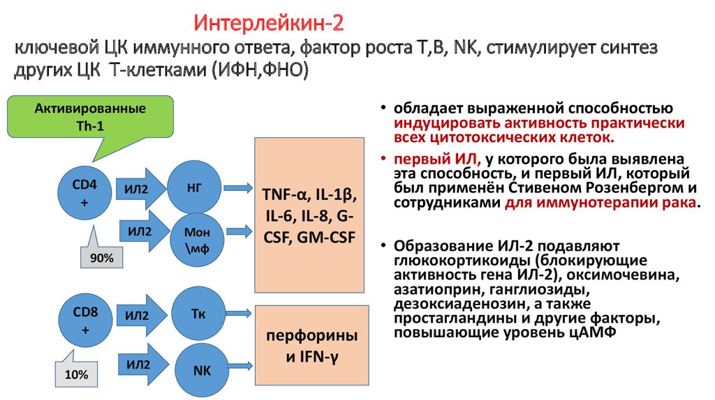 Синтез ростов. Функции интерлейкина 2. Интерлейкин 6 схема функции. Интерлейкин 1 схема функции. Интерлейкин 2 иммунология.