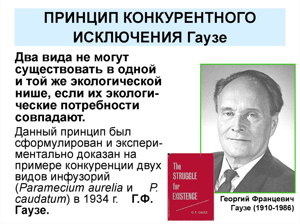 Г принцип. Закон конкурентного исключения (принцип Гаузе):. Принцип Вольтерра Гаузе. Принцип г. ф. Гаузе. Принцип конкретного исключения.