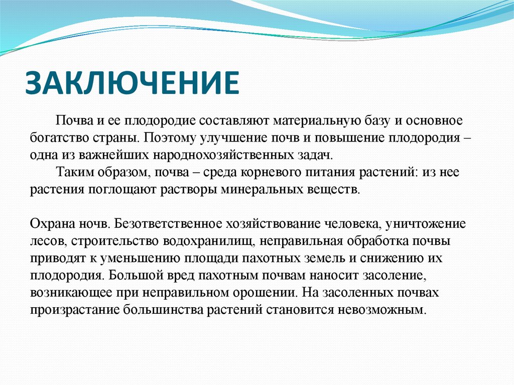 ЗАКЛЮЧЕНИЕ