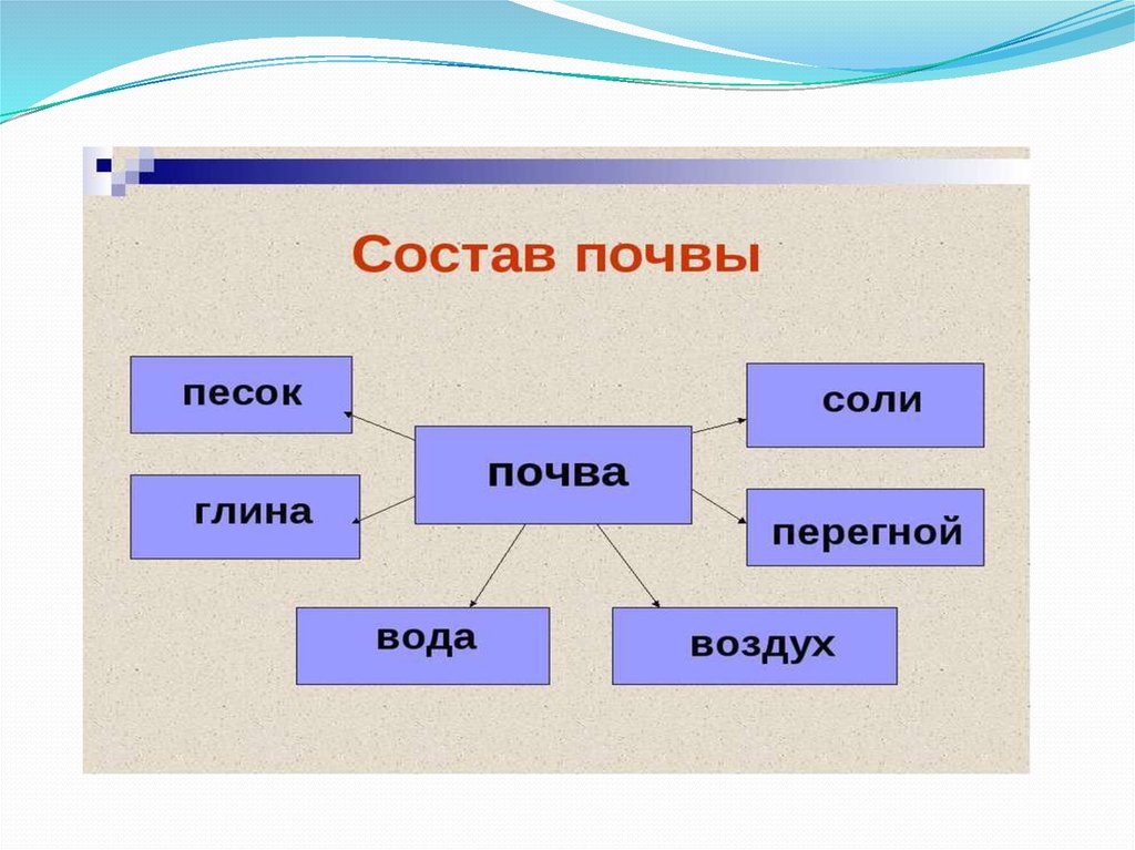 Схема состава. Почва и ее значение. Вода в почвы и ее значение. Ответ почва глина песок соль. Почва соль карта.