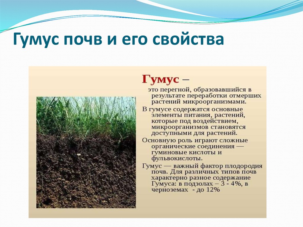 О каком свойстве почвы идет речь. Гумус почвы. Перегной гумус. Основные составляющие почвы. Основной состав почвы.