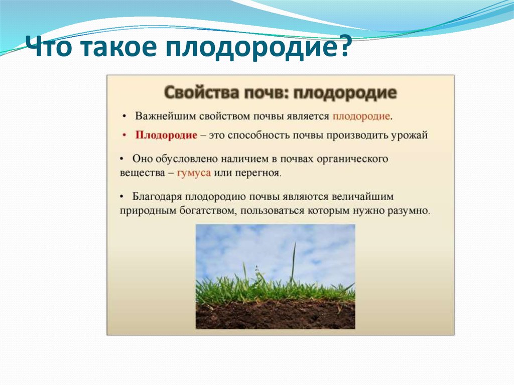 Плодородие зависит от содержания. Плодородие почвы. Почва плодородие почвы. Повышение плодородия почвы. Повышение плодородности почвы.