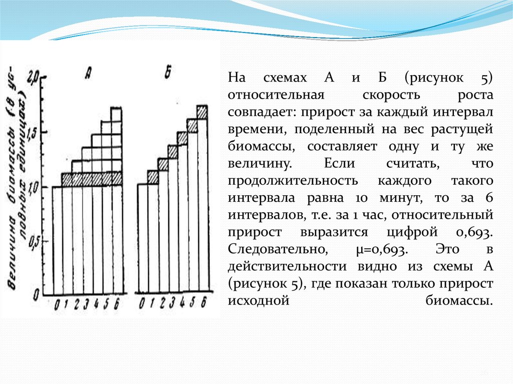 На схемах А и Б (рисунок 5) относительная скорость роста совпадает: прирост за каждый интервал времени, поделенный на вес