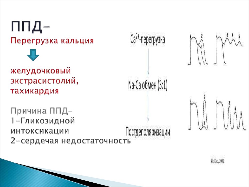 Тахикардия причины