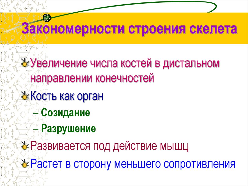 Закономерности строения