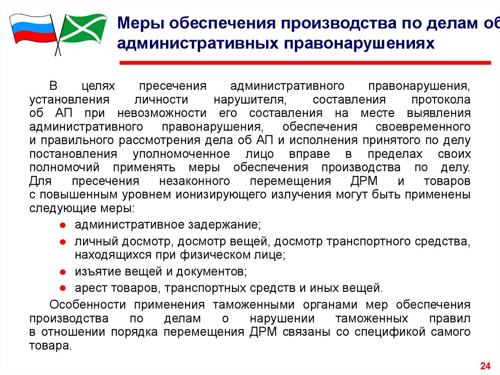 Протоколы о применении мер обеспечения производства образец