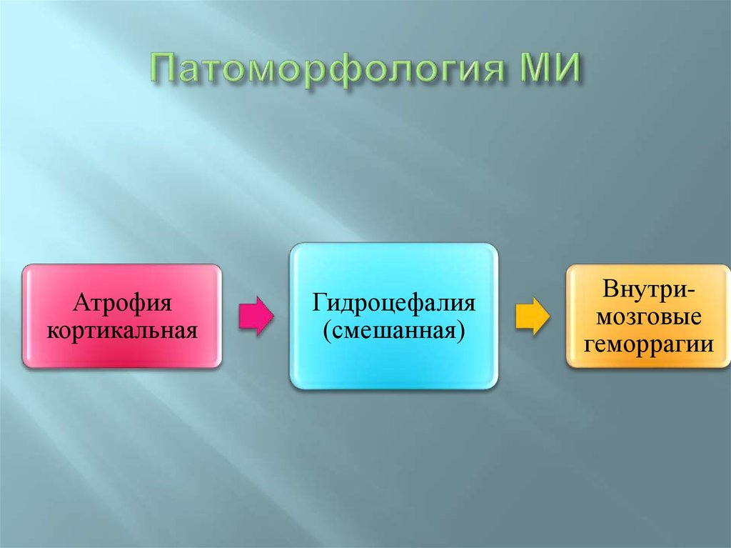 Патоморфология МИ