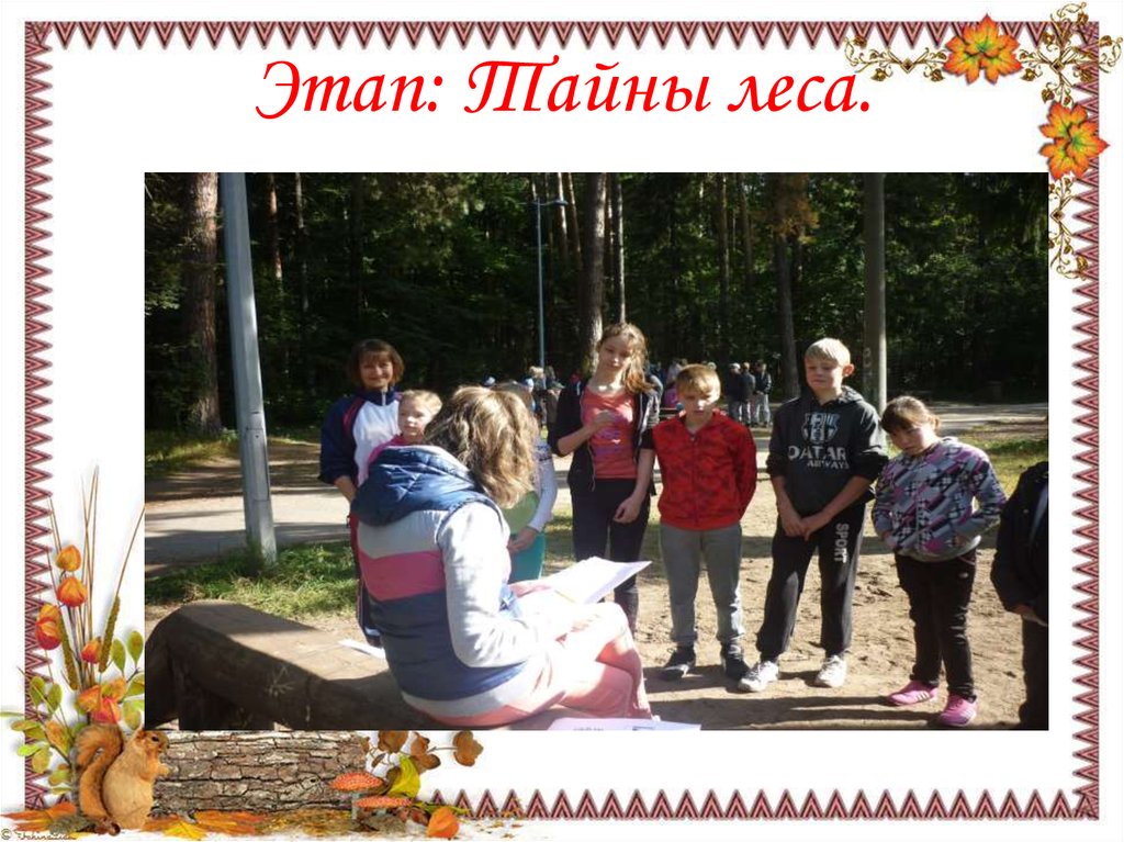 Этап: Тайны леса.