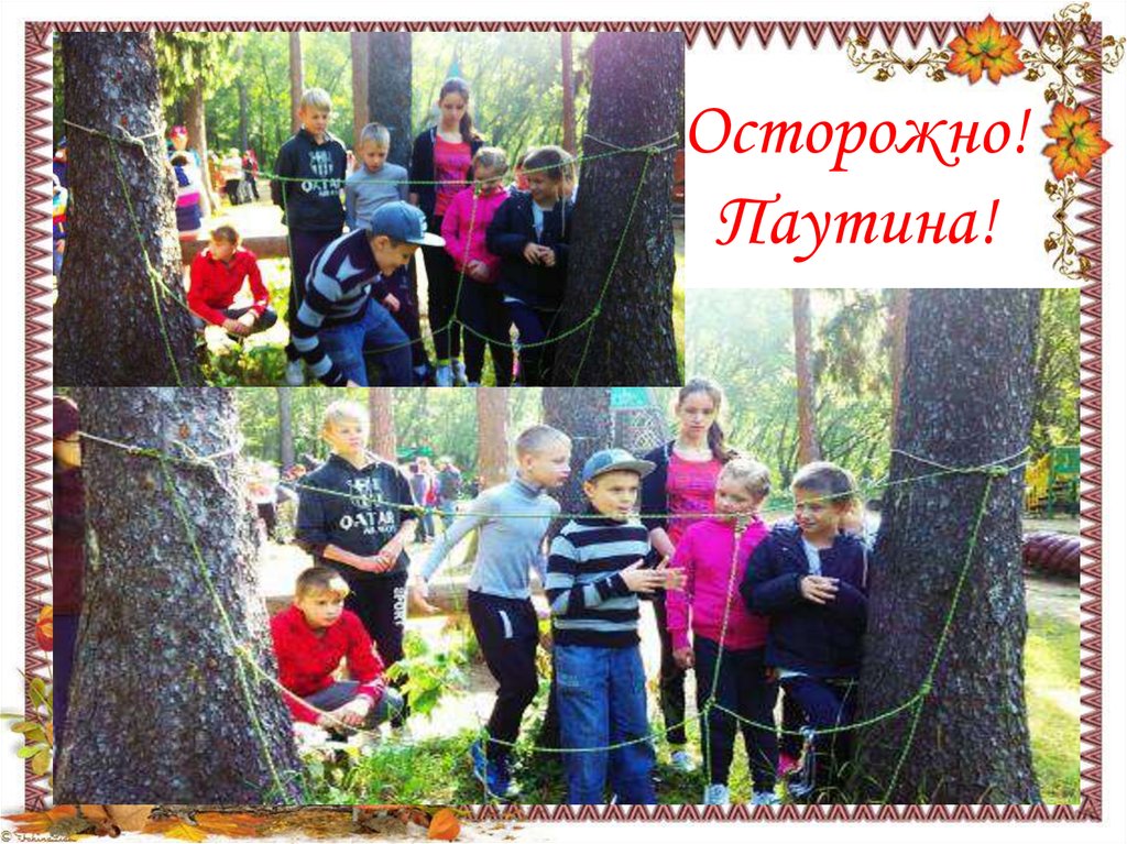 Осторожно! Паутина!