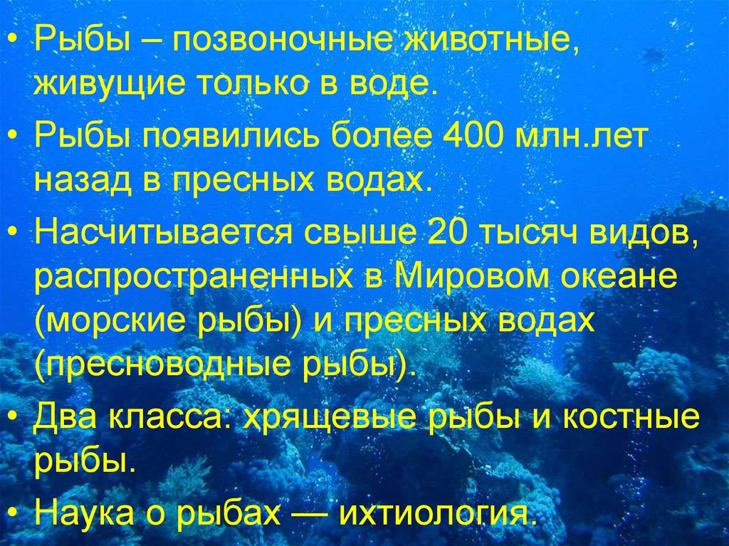 Рыбы презентация 5 класс