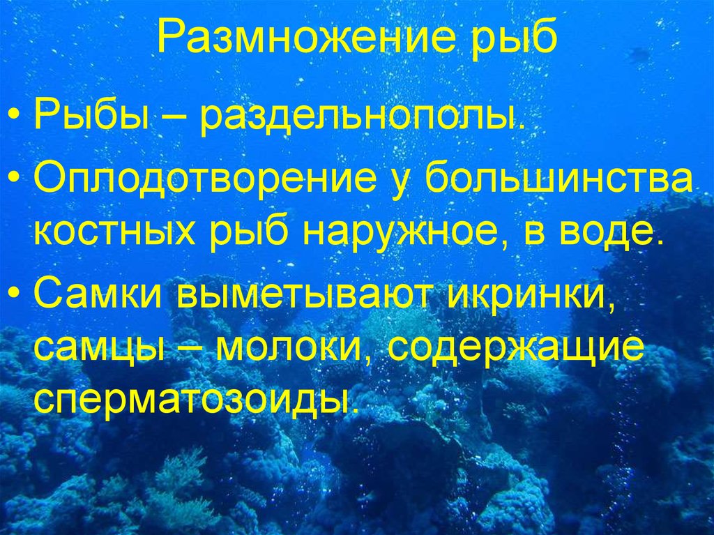 Строение и жизнедеятельность рыб 7 класс презентация