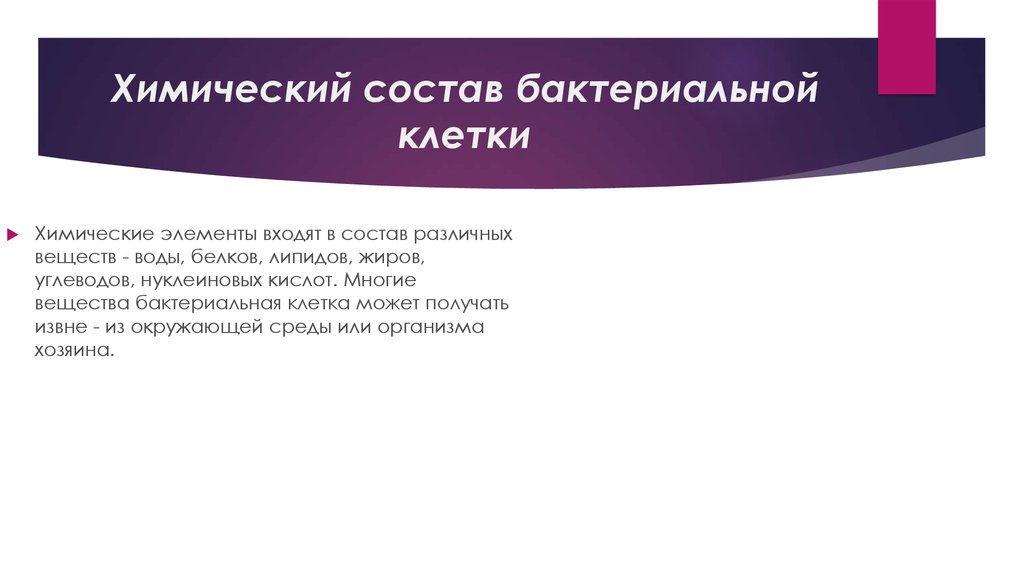 Химический состав бактериальной клетки