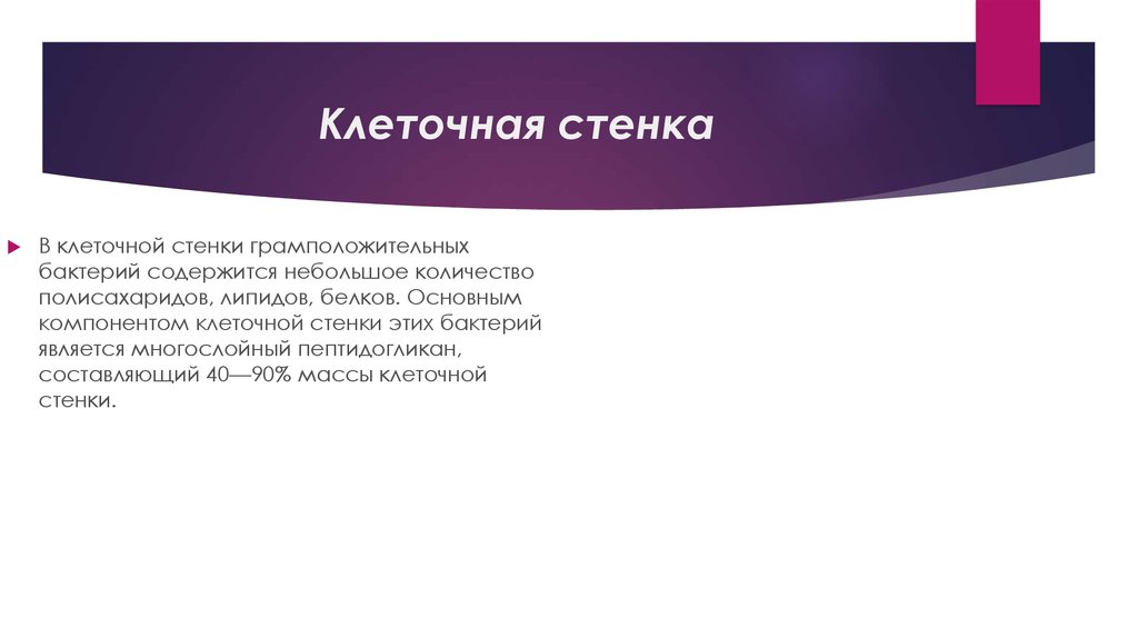 Клеточная стенка