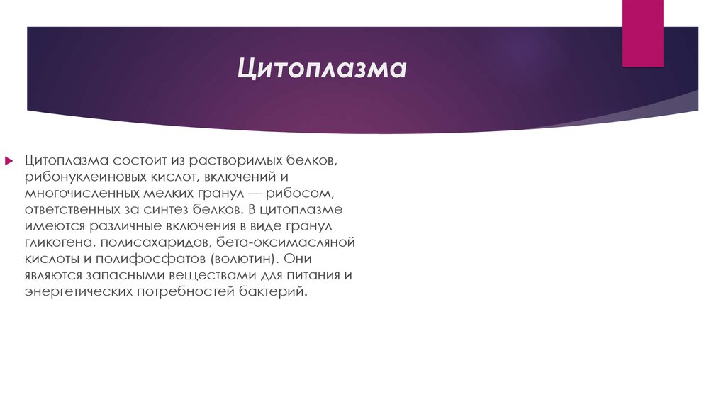 Цитоплазма