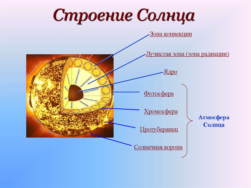 Сделайте рисунок солнца и укажите корону хромосфера фотосфера зона конвекции и ядро
