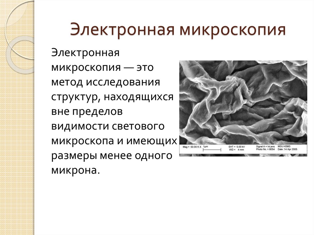 Микроскопия это. Метод электронной микроскопии. Электронная микроскопия характеристика. Электронная микроскопия это в биологии. Электронный микроскоп суть метода.