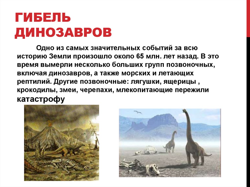 Когда жили динозавры 1 класс рабочий лист. Гибель динозавров. Почему вымерли динозавры. Жизнь и гибель динозавров на планете земля. Динозавры презентация.