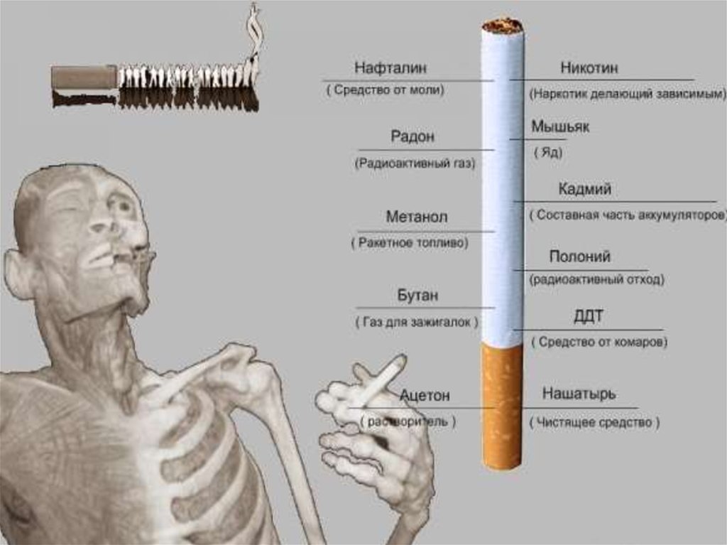 Никотин перегар. Состав сигареты. Строение сигареты. Вредные привычки курение. Составные части сигареты.
