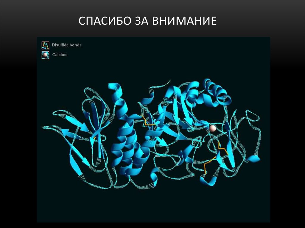 Спасибо за внимание