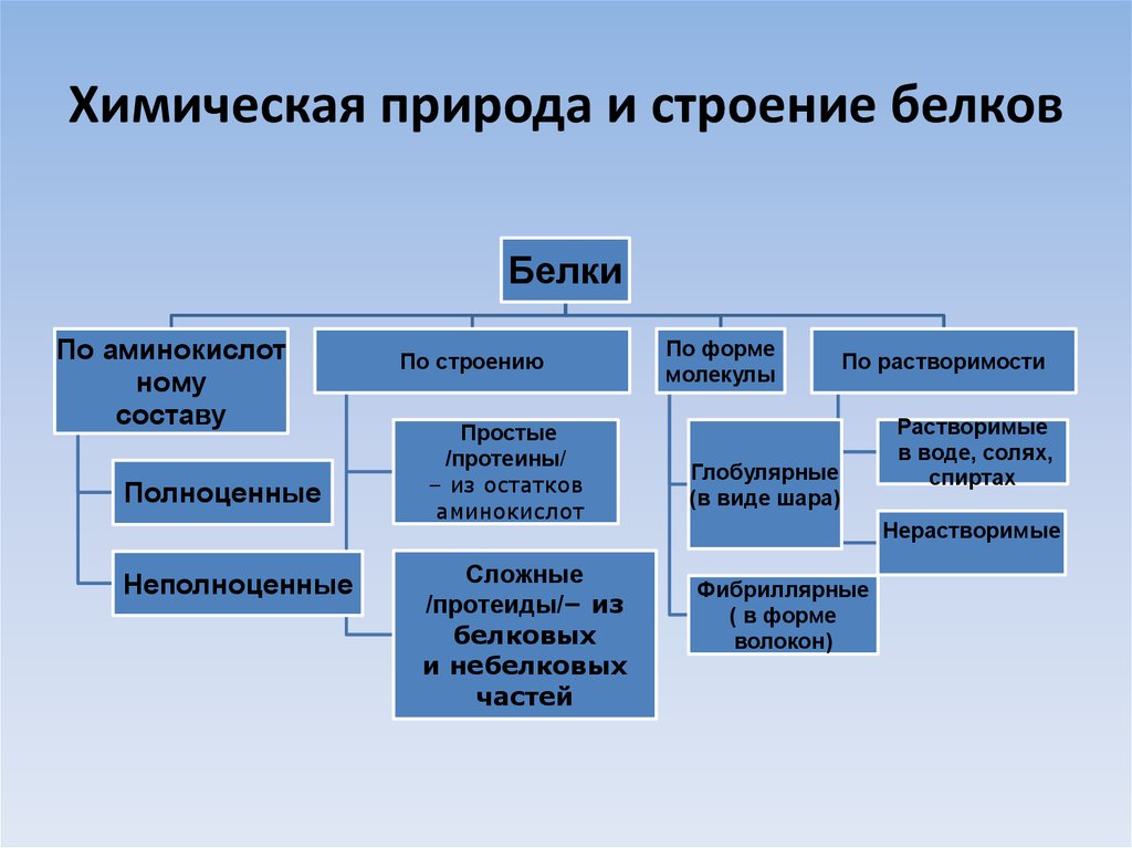 Структура природы