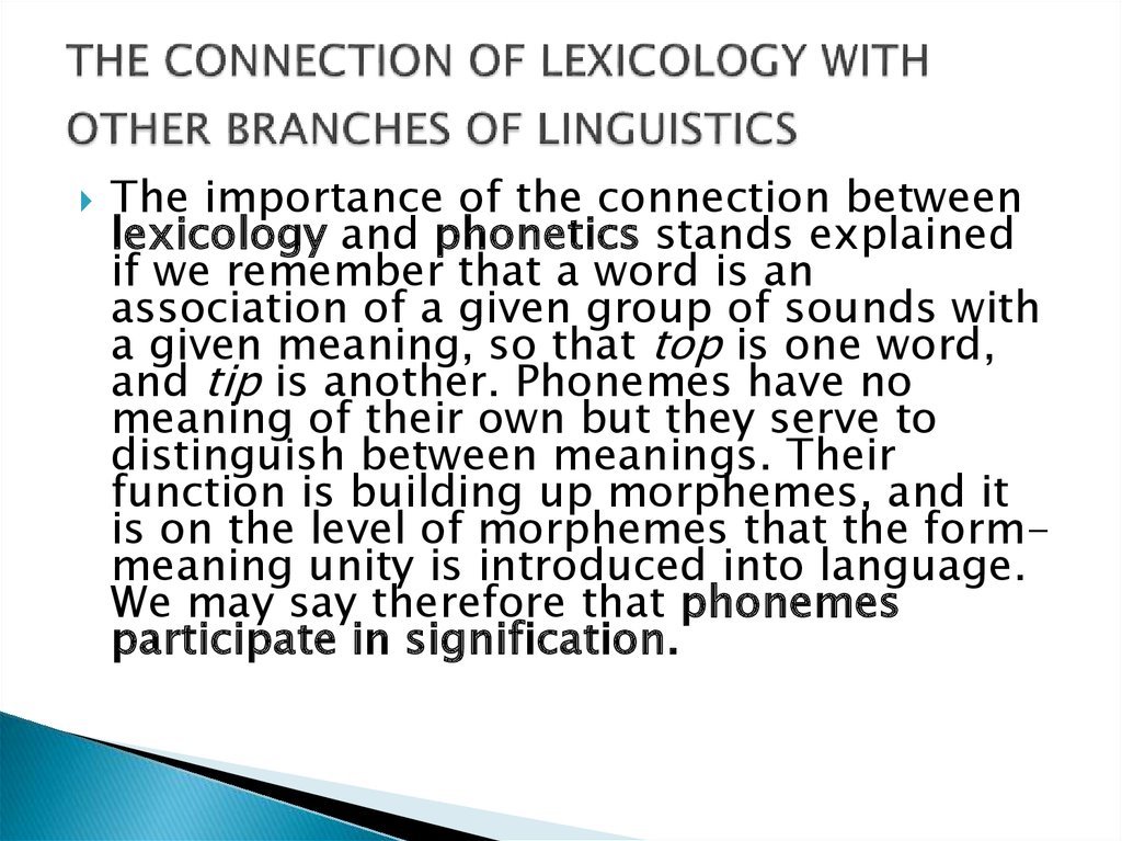 THE CONNECTION OF LEXICOLOGY WITH OTHER BRANCHES OF LINGUISTICS