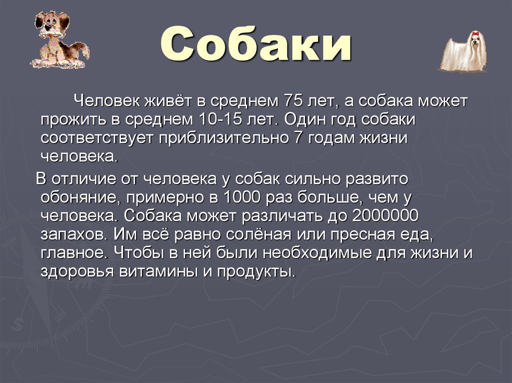 Проект на тему все о собаках 2 класс