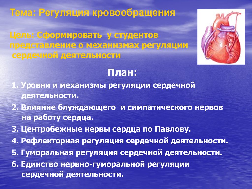 Лекция по теме Регуляция сердечной деятельности