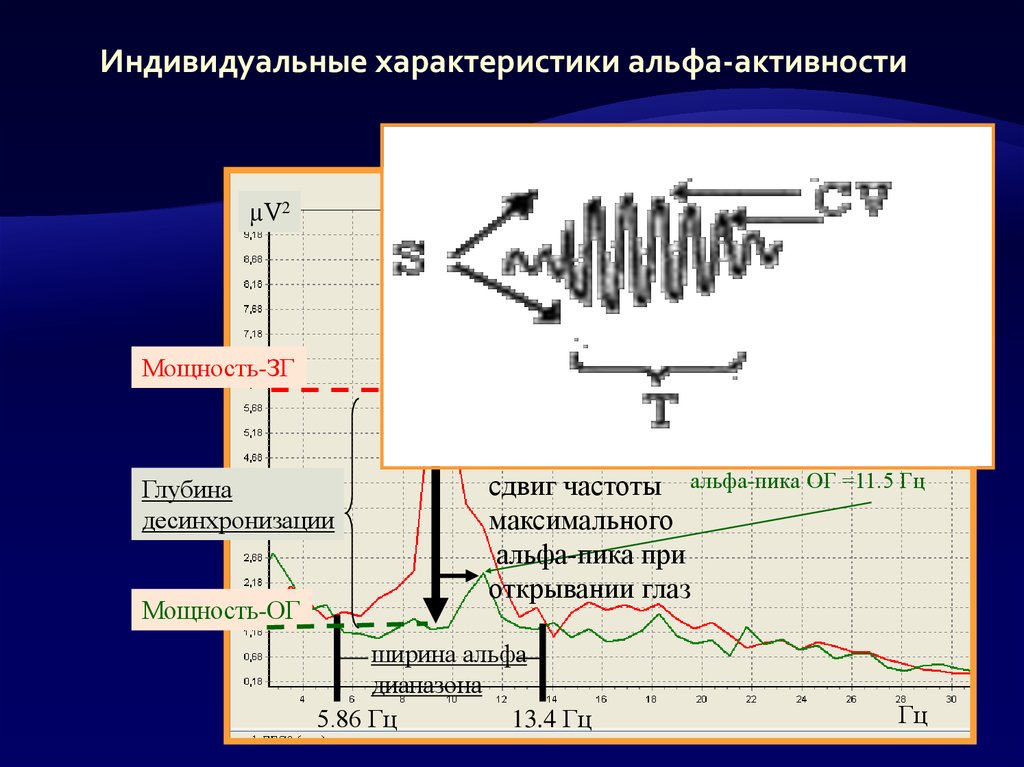 Alpha характеристика