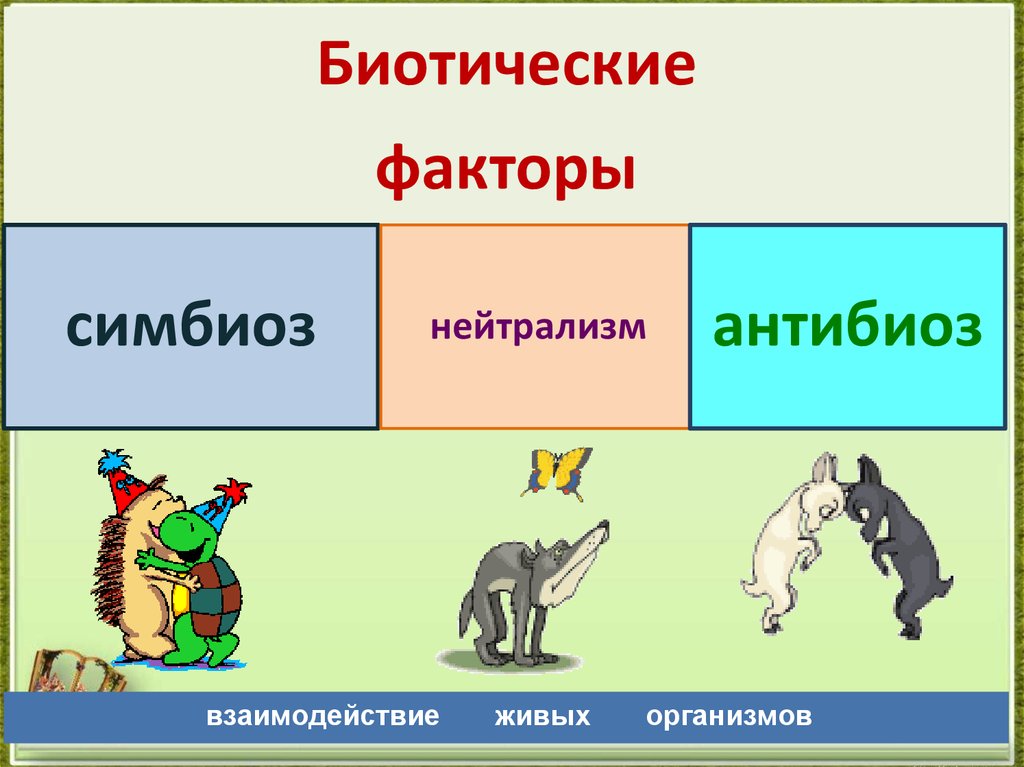 Конкуренция какой фактор среды. Биотические факторы симбиоз. Биотические факторы среды. Биотические факторы факторы. Биотические факторы среды симбиоз.