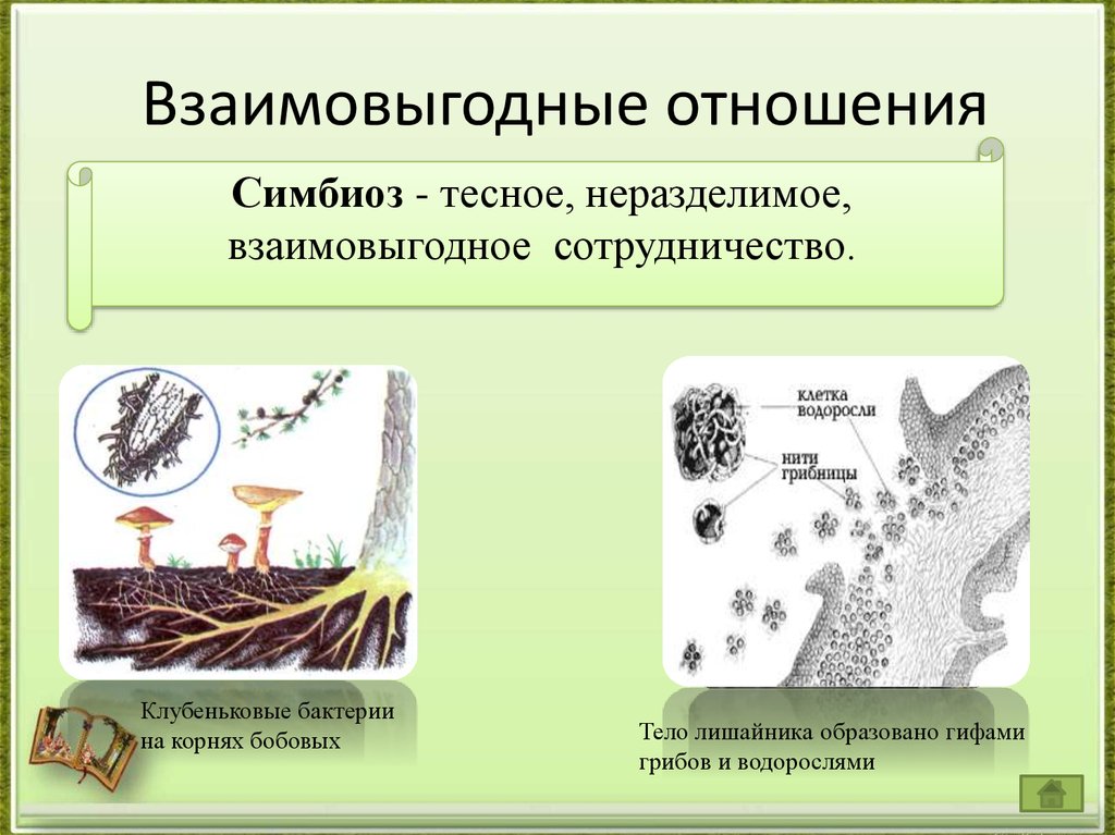 Взаимовыгодные отношения в обществе