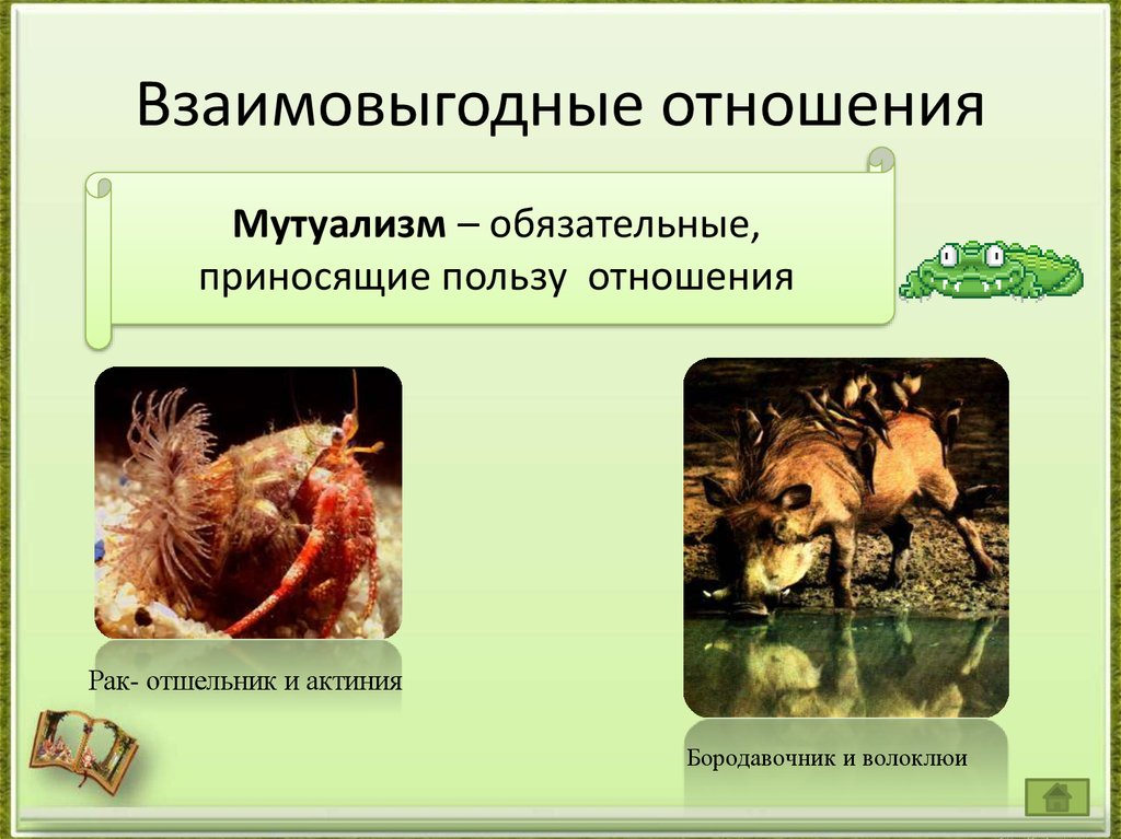 Различие между организмами. Взаимновнедные отношения организмов. Взаимовыгодные отношения. Взаимовыгодные отношения организмов. Взаимоотношения организмов взаимополезные.