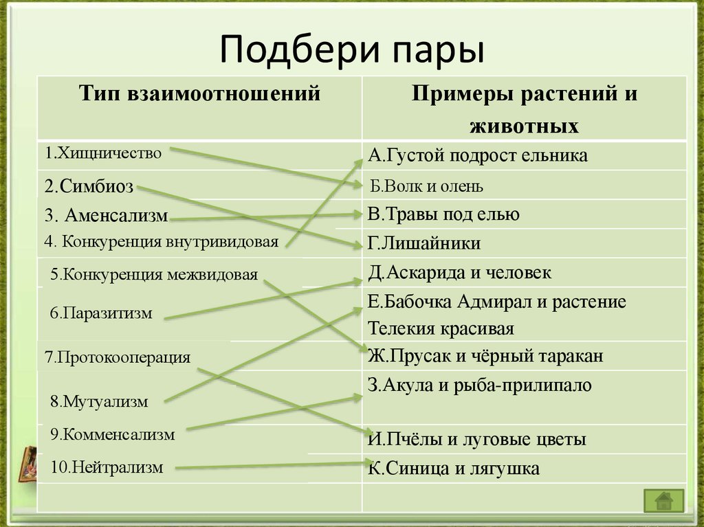 Установите соответствие между живыми организмами. Типы отношений между организмами. Типы взаимосвязей между организмами. Взаимоотношения между организмами задания. Характер взаимоотношений организмов.