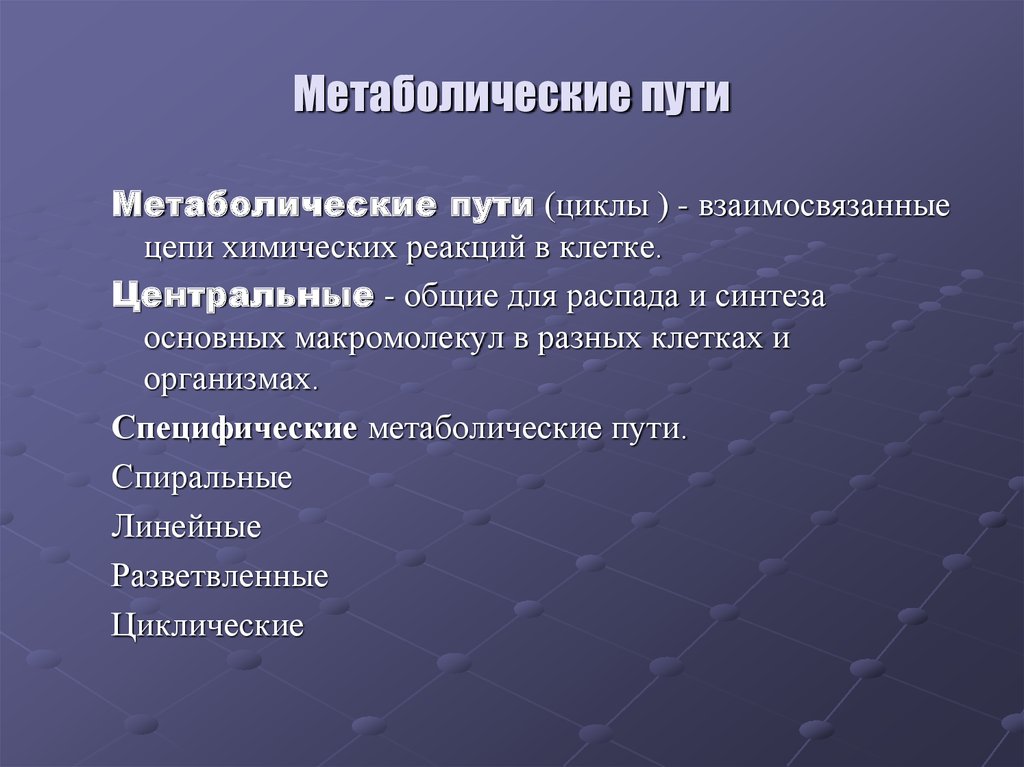 Биохимический путь. Метаболические пути. Классификация метаболических путей. Центральные метаболические пути. Схема метаболических путей.