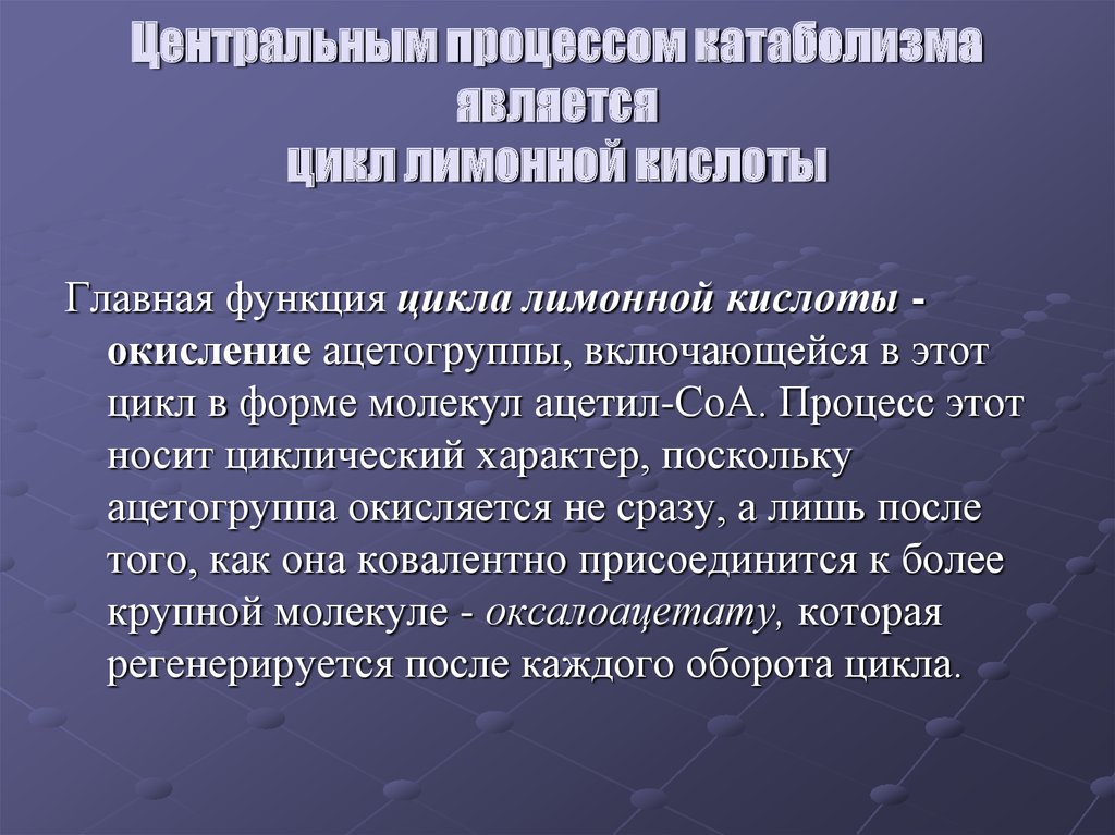 Центральный процесс. Регулирование скорости цикла лимонной кислоты. Регулирование скорости цикла лимонной кислоты кратко. Цикл лимонной кислоты препарат стимулировать.