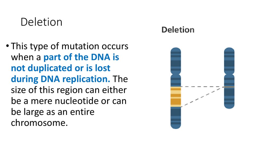 Deleterious Mutations Definition