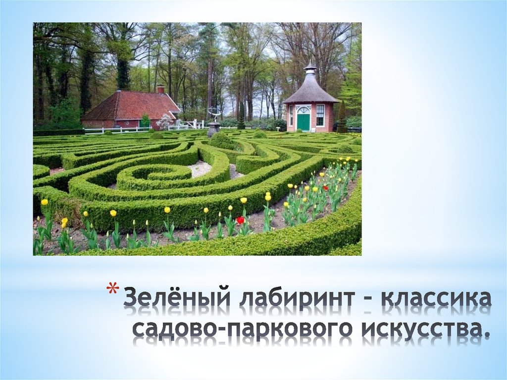 Зелёный лабиринт – классика садово-паркового искусства.