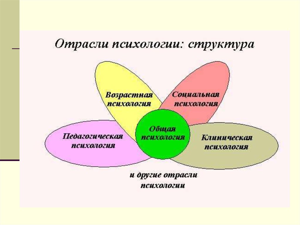 Возрастная общая психология. Структура возрастной психологии схема. Основные отрасли психологии схема. Структура психологии. Отрасли психологической науки.